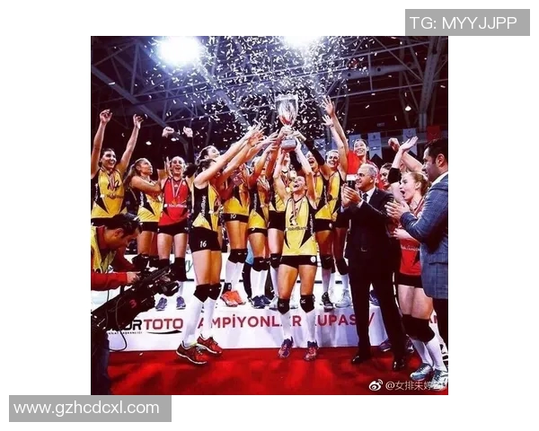 今日体育快讯：转会动态伤病更新赛场战报全方位解析